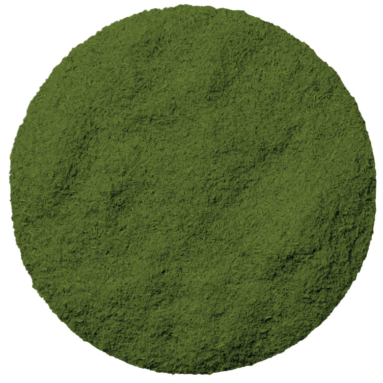 Basil Powder 50g – Fresh As